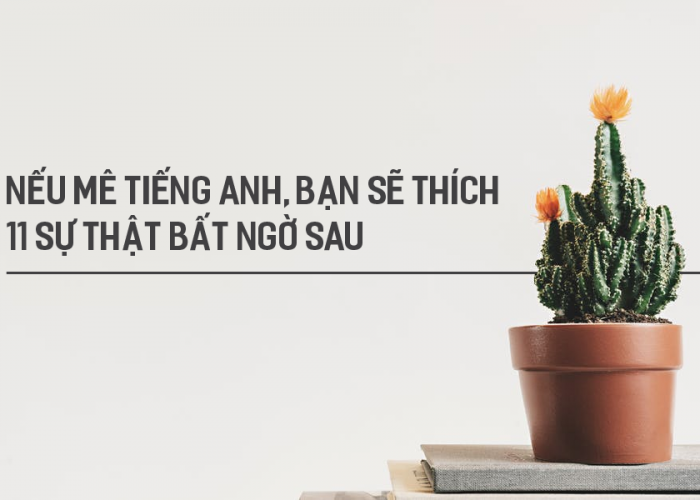 11 sự thật thú vị chắc chắn bạn chưa biết về Tiếng Anh