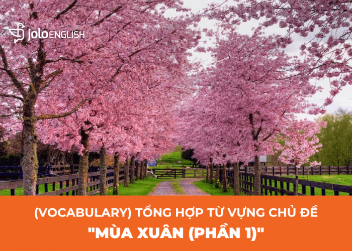 vocabulary-tong-hop-tu-vung-ve-mua-xuan-phan-1