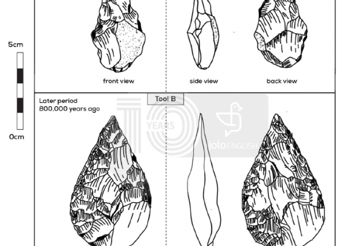 Tổng hợp đề thi IELTS thật tháng 8/2023