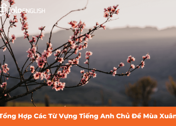 Tổng Hợp Các Từ Vựng Tiếng Anh Chủ Đề Mùa Xuân
