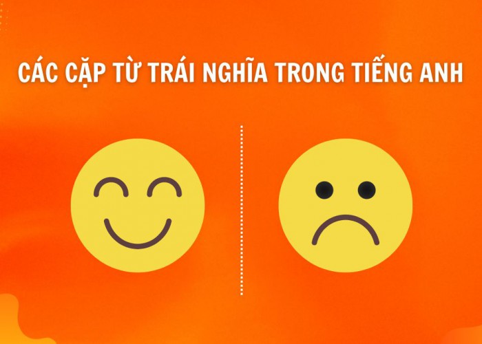 Khám Phá Các Cặp Từ Trái Nghĩa Trong Tiếng Anh