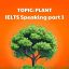 IELTS Speaking Part 3 (Topic Plant): Câu Trả Lời Mẫu Band 8 Chủ Đề Cây Cối