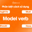 Sự Khác Biệt Giữa Must, Have To, Should và Ought To Trong Tiếng Anh