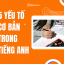 Những Yếu Tố Cơ Bản Trong Tiếng Anh Người Mới Học Tiếng Anh Cần Lưu Ý