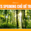 IELTS Speaking Topic Trees: Từ Vựng và Bài Mẫu Chi Tiết